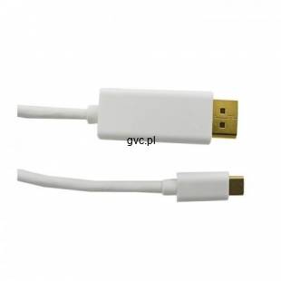 Kabel Qoltec 50412 (USB typu C M - DisplayPort M; 1m; kolor biały)-2139739