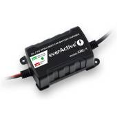 Prostownik everActive CBC-1-1007999